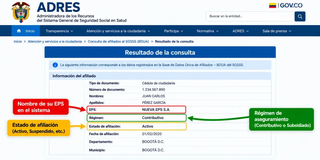Ejemplo de resultados de consulta ADRES FOSYGA por cédula con nombre de EPS, régimen contributivo y estado de afiliación activo resaltados.